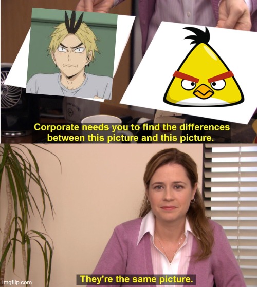 They're The Same Picture | image tagged in memes,they're the same picture,haikyuu,koganegawa kanji,anime,angry birds | made w/ Imgflip meme maker