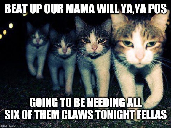 Wrong Neighboorhood Cats | BEAT UP OUR MAMA WILL YA,YA POS; GOING TO BE NEEDING ALL SIX OF THEM CLAWS TONIGHT FELLAS | image tagged in memes,wrong neighboorhood cats | made w/ Imgflip meme maker