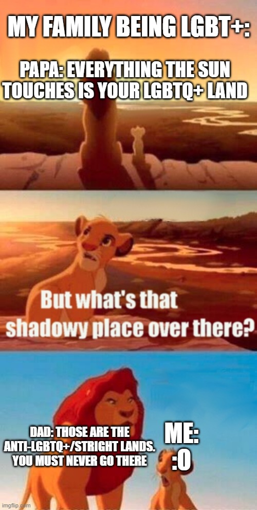 Simba Shadowy Place | MY FAMILY BEING LGBT+:; PAPA: EVERYTHING THE SUN TOUCHES IS YOUR LGBTQ+ LAND; ME: :O; DAD: THOSE ARE THE ANTI-LGBTQ+/STRIGHT LANDS. YOU MUST NEVER GO THERE | image tagged in memes,simba shadowy place | made w/ Imgflip meme maker