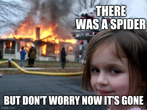 Disaster Girl Meme | THERE WAS A SPIDER; BUT DON'T WORRY NOW IT'S GONE | image tagged in memes,disaster girl | made w/ Imgflip meme maker