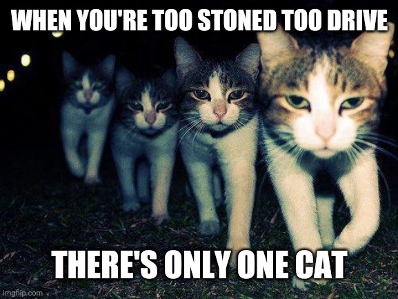 Wrong Neighboorhood Cats | WHEN YOU'RE TOO STONED TOO DRIVE; THERE'S ONLY ONE CAT | image tagged in memes,wrong neighboorhood cats | made w/ Imgflip meme maker