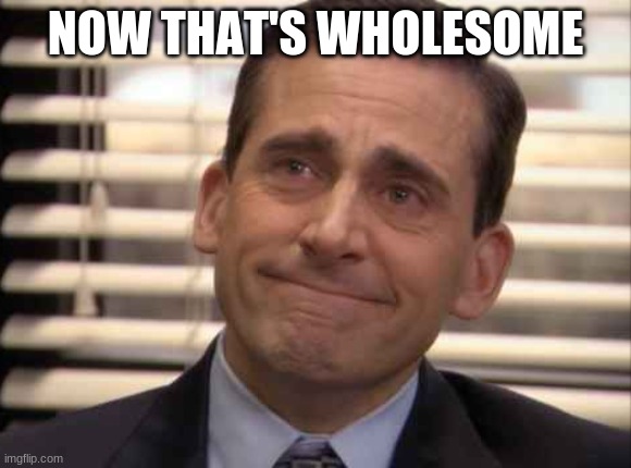 wholesome | NOW THAT'S WHOLESOME | image tagged in wholesome | made w/ Imgflip meme maker