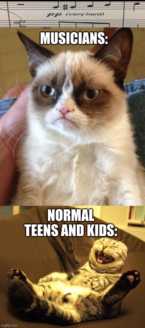 pp: (you know what) | MUSICIANS:; NORMAL TEENS AND KIDS: | image tagged in memes,grumpy cat,laughing cat | made w/ Imgflip meme maker
