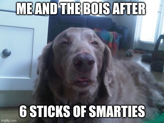 High Dog Meme | ME AND THE BOIS AFTER; 6 STICKS OF SMARTIES | image tagged in memes,high dog | made w/ Imgflip meme maker
