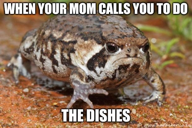 Grumpy Toad |  WHEN YOUR MOM CALLS YOU TO DO; THE DISHES | image tagged in memes,grumpy toad | made w/ Imgflip meme maker