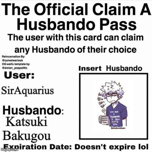 I basicallly am him from what I've heard. | SirAquarius; Katsuki Bakugou | image tagged in claim your husbando | made w/ Imgflip meme maker