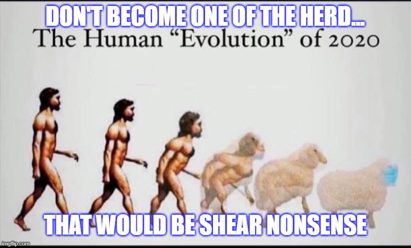 Sheep | DON'T BECOME ONE OF THE HERD... THAT WOULD BE SHEAR NONSENSE | image tagged in one does not simply | made w/ Imgflip meme maker