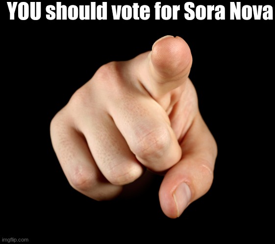 Vote | YOU should vote for Sora Nova | image tagged in finger pointing | made w/ Imgflip meme maker