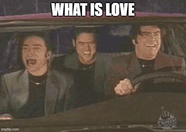 what is love gif | WHAT IS LOVE | image tagged in what is love gif | made w/ Imgflip meme maker
