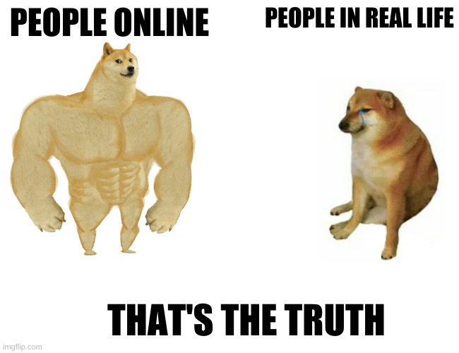 THAT'S THE TRUTH | PEOPLE ONLINE; PEOPLE IN REAL LIFE; THAT'S THE TRUTH | image tagged in memes,buff doge vs cheems | made w/ Imgflip meme maker