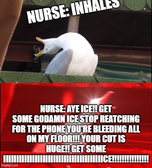 Screaming bird | NURSE: INHALES; NURSE: AYE ICE!! GET SOME GODAMN ICE STOP REATCHING FOR THE PHONE YOU'RE BLEEDING ALL ON MY FLOOR!!! YOUR CUT IS HUGE!! GET SOME IIIIIIIIIIIIIIIIIIIIIIIIIIIIIIIIIIIIIICE!!!!!!!!!!!!!!! | image tagged in screaming bird | made w/ Imgflip meme maker