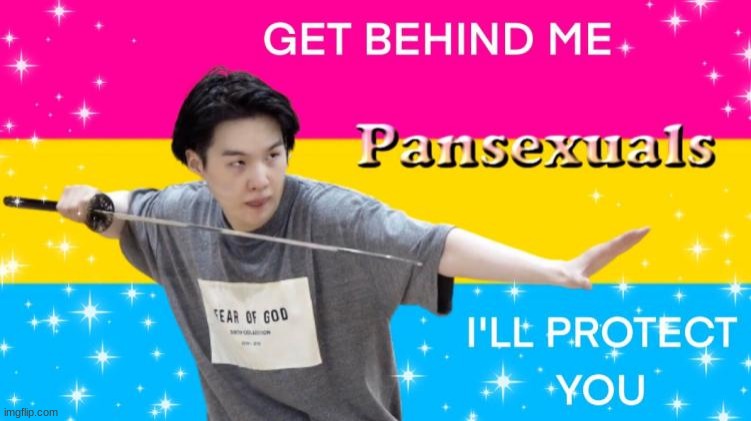 image tagged in pansexual,support | made w/ Imgflip meme maker