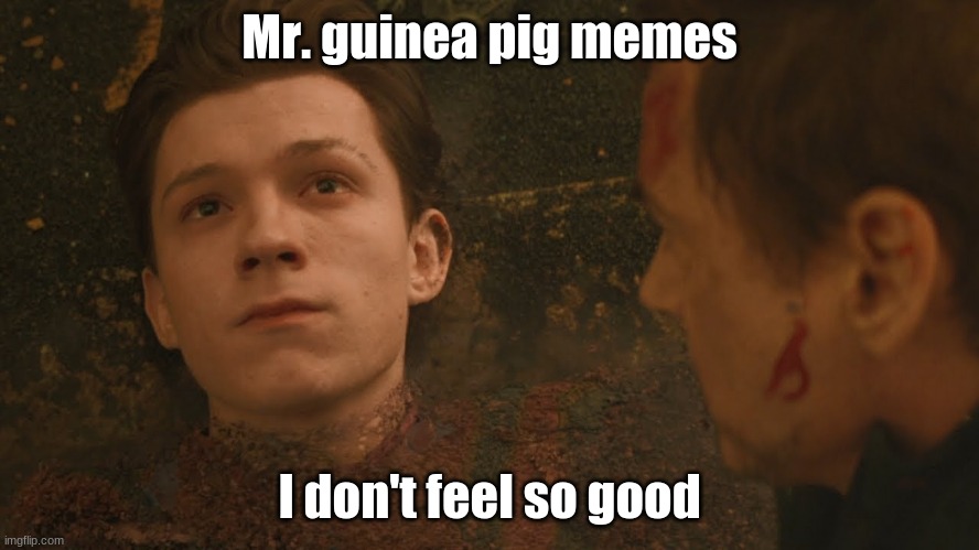 Mr Stark I don't feel so good | Mr. guinea pig memes I don't feel so good | image tagged in mr stark i don't feel so good | made w/ Imgflip meme maker