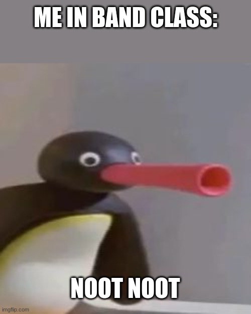 NOOT NOOT | ME IN BAND CLASS: NOOT NOOT | image tagged in noot noot | made w/ Imgflip meme maker