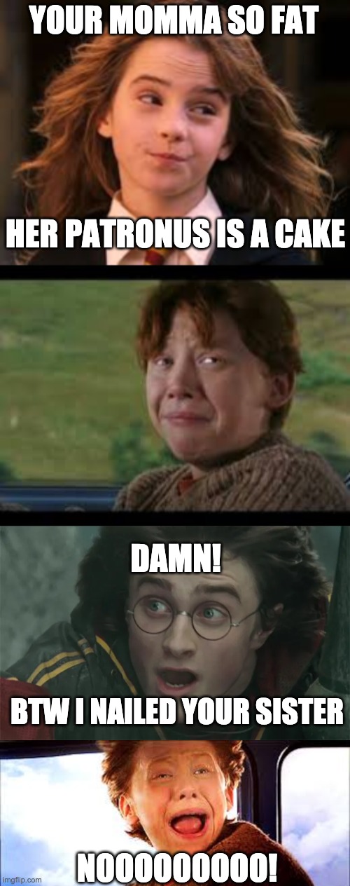 Poor Ron | YOUR MOMMA SO FAT; HER PATRONUS IS A CAKE; DAMN! BTW I NAILED YOUR SISTER; NOOOOOOOOO! | image tagged in harry potter,ron weasley,hermione granger,your mom | made w/ Imgflip meme maker