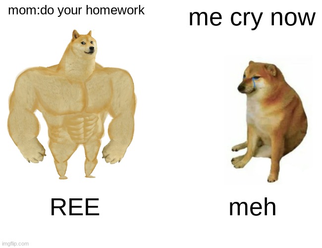 mom:do your homework me cry now REE meh | image tagged in memes,buff doge vs cheems | made w/ Imgflip meme maker