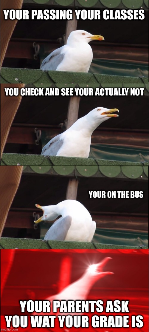 Inhaling Seagull | YOUR PASSING YOUR CLASSES; YOU CHECK AND SEE YOUR ACTUALLY NOT; YOUR ON THE BUS; YOUR PARENTS ASK YOU WAT YOUR GRADE IS | image tagged in memes,inhaling seagull | made w/ Imgflip meme maker