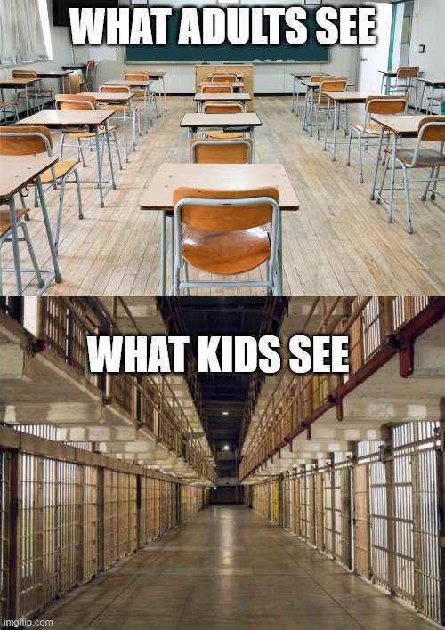 so true | WHAT ADULTS SEE; WHAT KIDS SEE | image tagged in prison,school sucks,kids,adults | made w/ Imgflip meme maker