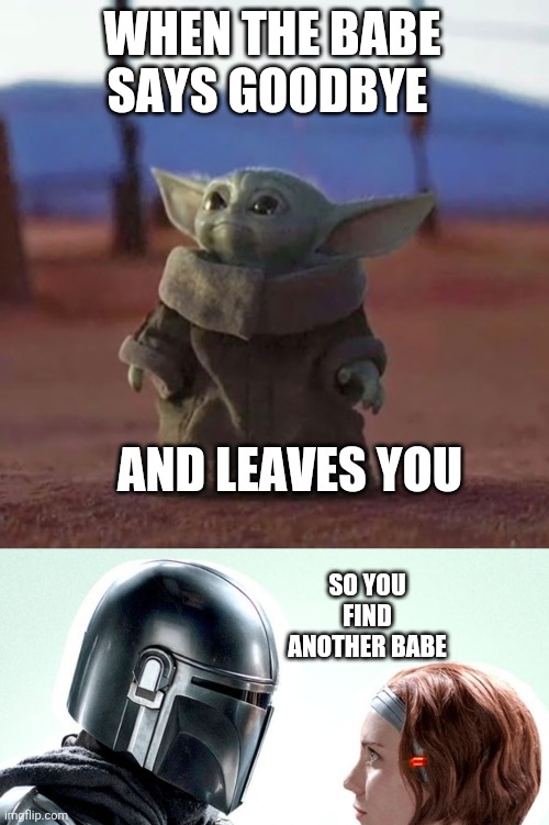 WHEN THE BABE SAYS GOODBYE; AND LEAVES YOU; SO YOU FIND ANOTHER BABE | image tagged in baby yoda | made w/ Imgflip meme maker