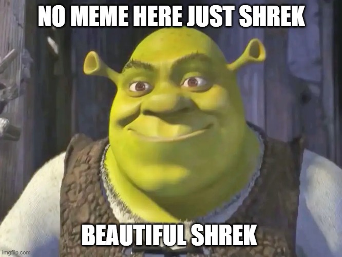SHREK IS A GOD | NO MEME HERE JUST SHREK; BEAUTIFUL SHREK | image tagged in shrek,our lord,lol,memes,upvote | made w/ Imgflip meme maker