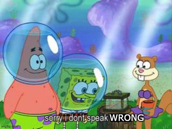 Sorry I don't speak ____ | WRONG | image tagged in sorry i don't speak ____ | made w/ Imgflip meme maker