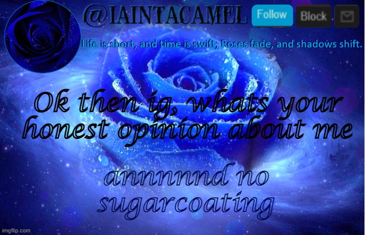 iaintacamel | Ok then ig, whats your honest opinion about me; annnnnd no sugarcoating | image tagged in iaintacamel | made w/ Imgflip meme maker