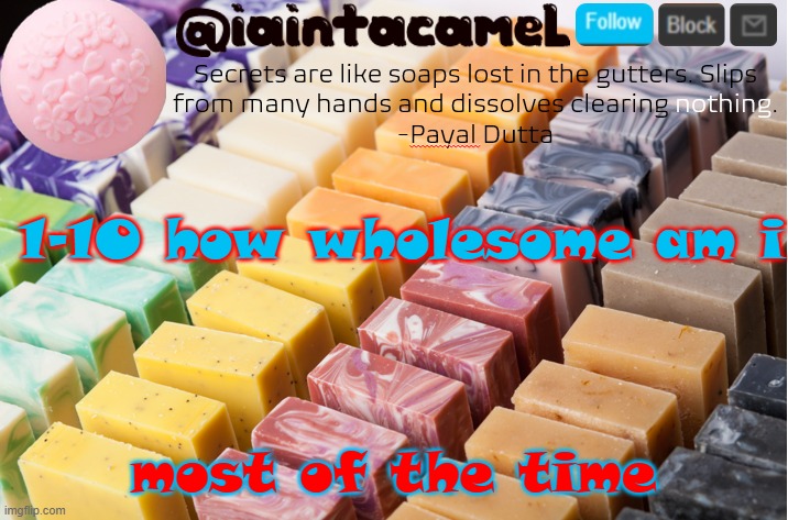 iaintacamel | 1-10 how wholesome am i; most of the time | image tagged in iaintacamel | made w/ Imgflip meme maker