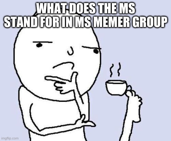 thinking meme | WHAT DOES THE MS STAND FOR IN MS MEMER GROUP | image tagged in thinking meme | made w/ Imgflip meme maker