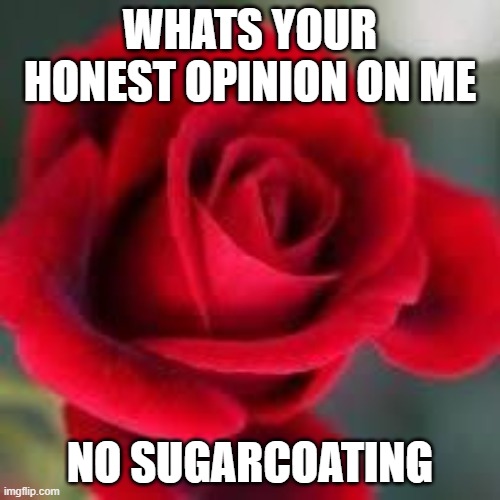 roses are red | WHATS YOUR HONEST OPINION ON ME; NO SUGARCOATING | image tagged in roses are red | made w/ Imgflip meme maker