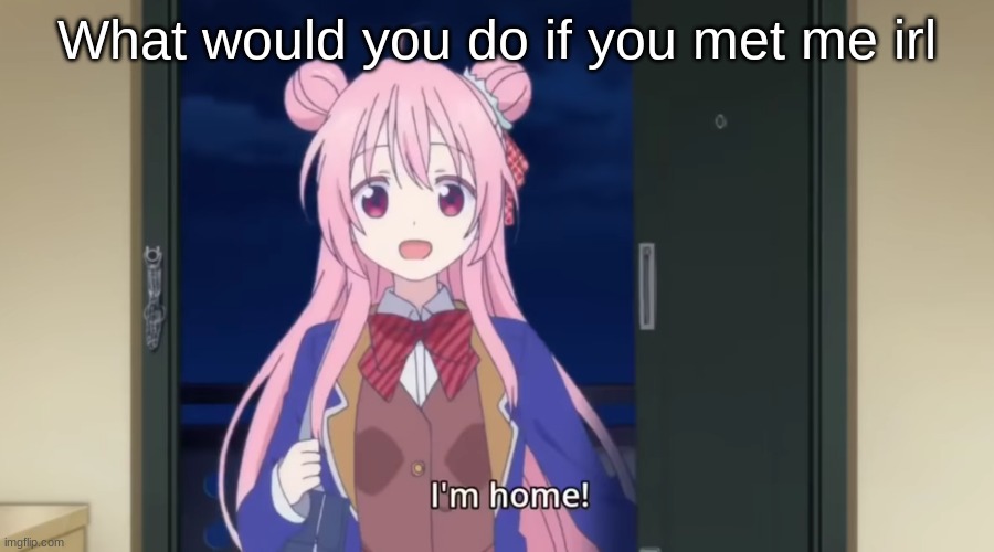 I'm home! | What would you do if you met me irl | image tagged in i'm home | made w/ Imgflip meme maker