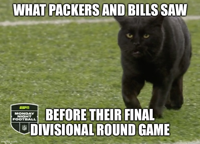 Unlucky ness | WHAT PACKERS AND BILLS SAW; BEFORE THEIR FINAL DIVISIONAL ROUND GAME | image tagged in funny memes,sports | made w/ Imgflip meme maker