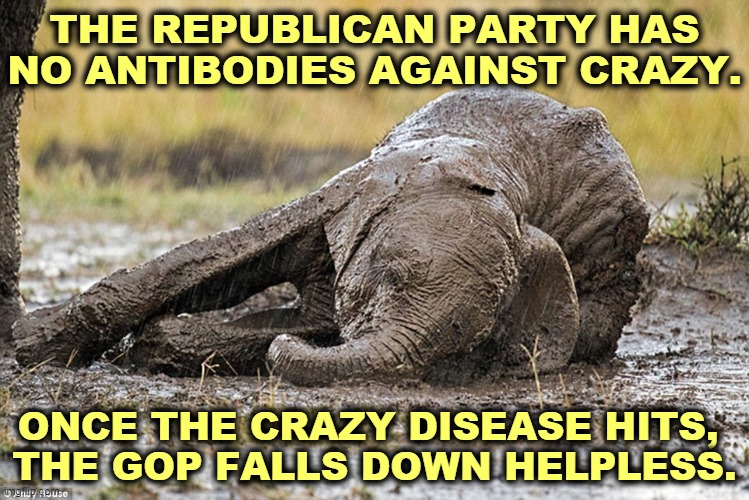 Sane mature grownups have no place in today's GOP. It's reserved only for crazy. | THE REPUBLICAN PARTY HAS NO ANTIBODIES AGAINST CRAZY. ONCE THE CRAZY DISEASE HITS, 
THE GOP FALLS DOWN HELPLESS. | image tagged in the republican elephant after trump's takeover,gop,republican,crazy,disease | made w/ Imgflip meme maker