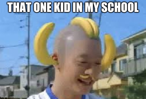 that one kid | THAT ONE KID IN MY SCHOOL | image tagged in that one kid | made w/ Imgflip meme maker
