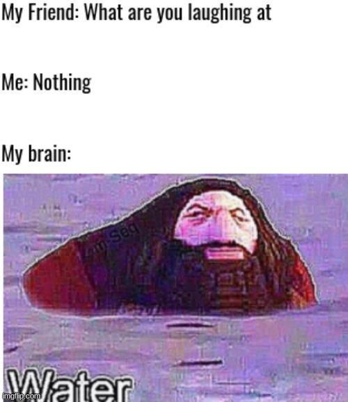 WaTeR | image tagged in lol so funny,xd | made w/ Imgflip meme maker