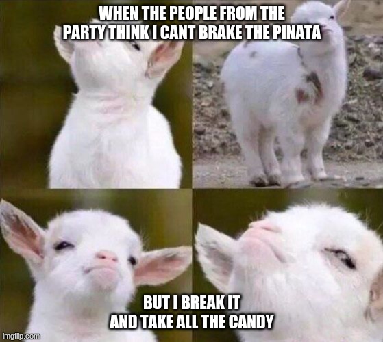  WHEN THE PEOPLE FROM THE PARTY THINK I CANT BRAKE THE PINATA; BUT I BREAK IT AND TAKE ALL THE CANDY | image tagged in smug goat | made w/ Imgflip meme maker