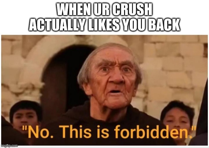 No This Is Forbidden | WHEN UR CRUSH ACTUALLY LIKES YOU BACK | image tagged in no this is forbidden | made w/ Imgflip meme maker