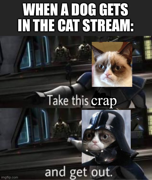 LOL | WHEN A DOG GETS IN THE CAT STREAM:; crap | image tagged in funny,cats,animals,dogs,take this crap and get out,get out | made w/ Imgflip meme maker