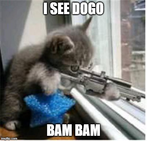 cats with guns | I SEE DOGO; BAM BAM | image tagged in cats with guns,memes,cats | made w/ Imgflip meme maker