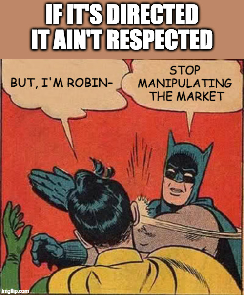IF IT'S DIRECTED IT AIN'T RESPECTED! |  IF IT'S DIRECTED IT AIN'T RESPECTED | image tagged in memes,batman slapping robin,stock market,gamestop | made w/ Imgflip meme maker