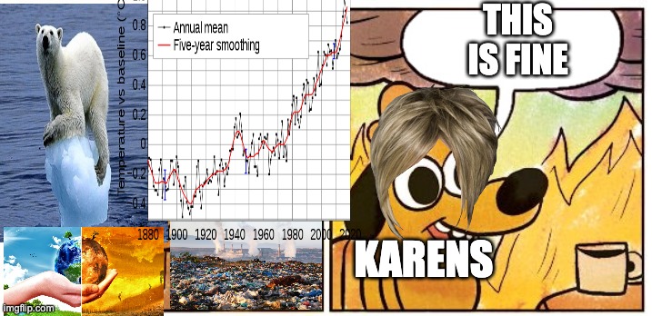 This Is Fine - Blank Bubble | THIS IS FINE; KARENS | image tagged in this is fine - blank bubble | made w/ Imgflip meme maker