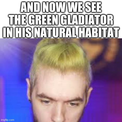 *david attenborough impression thickens* | AND NOW WE SEE THE GREEN GLADIATOR IN HIS NATURAL HABITAT | image tagged in jacksepticeye,david attenborough,green hair | made w/ Imgflip meme maker