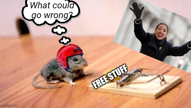 Mouse Trap | What could go wrong? FREE STUFF | image tagged in mouse trap | made w/ Imgflip meme maker