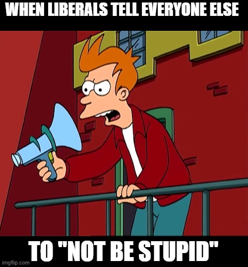 looking in a mirror can be an enlightening experience | WHEN LIBERALS TELL EVERYONE ELSE; TO "NOT BE STUPID" | image tagged in stupid liberals,triggered liberal,funny memes,irony,politics lol | made w/ Imgflip meme maker