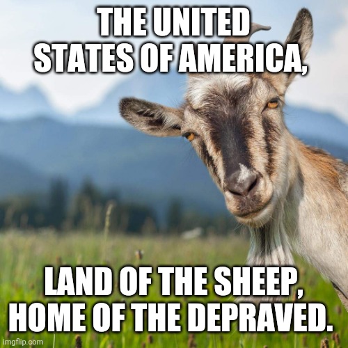 creepy condescending goat | THE UNITED STATES OF AMERICA, LAND OF THE SHEEP, HOME OF THE DEPRAVED. | image tagged in creepy condescending goat | made w/ Imgflip meme maker
