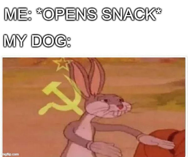 Is This Relatable? | ME: *OPENS SNACK*; MY DOG: | image tagged in communist bugs bunny | made w/ Imgflip meme maker