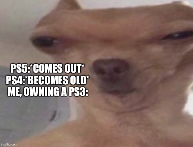 Yes, I really do. | PS5:*COMES OUT*
PS4:*BECOMES OLD*
ME, OWNING A PS3: | image tagged in playstation,warped doggo | made w/ Imgflip meme maker
