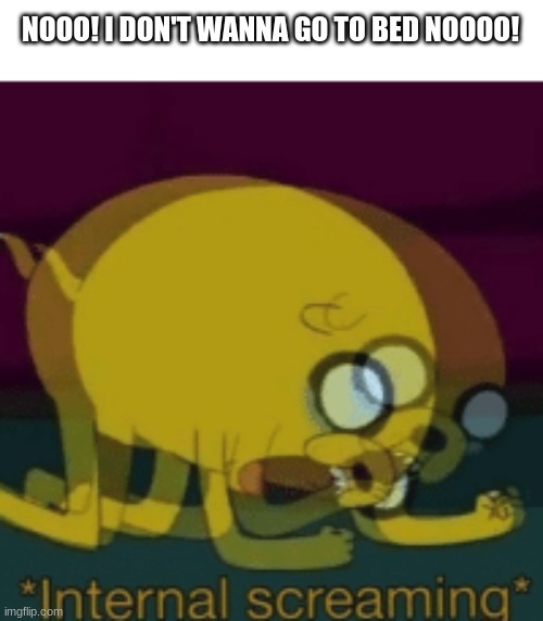 bedtime be like: | NOOO! I DON'T WANNA GO TO BED NOOOO! | image tagged in jake the dog internal screaming,noooooo | made w/ Imgflip meme maker