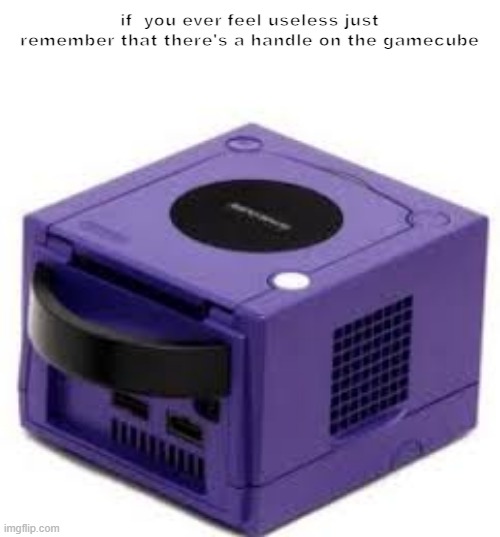 grfdf | if  you ever feel useless just remember that there's a handle on the gamecube | image tagged in memes | made w/ Imgflip meme maker