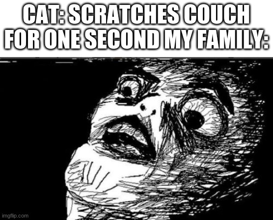 ONE SECOND | CAT: SCRATCHES COUCH FOR ONE SECOND MY FAMILY: | image tagged in memes,gasp rage face,couch,cats | made w/ Imgflip meme maker