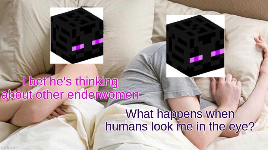 Enderwomen | I bet he's thinking about other enderwomen; What happens when humans look me in the eye? | image tagged in memes,i bet he's thinking about other women | made w/ Imgflip meme maker